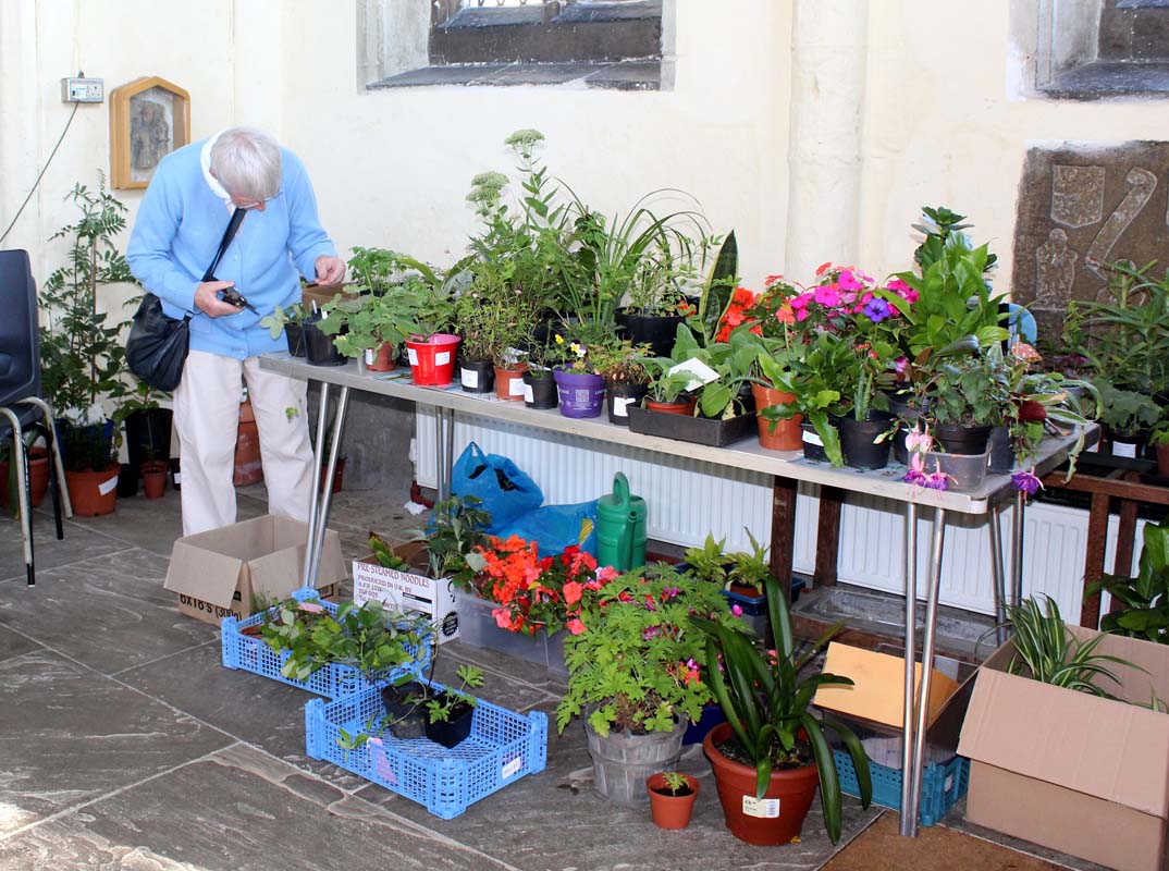 Plant stall