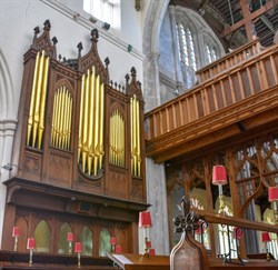 Organ Peter DV-2021-800-crop