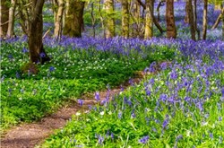 Travelling Well Together