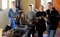 Bug Hotel-2118-crop800
