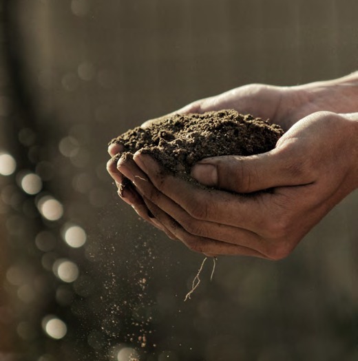 Handful Soil