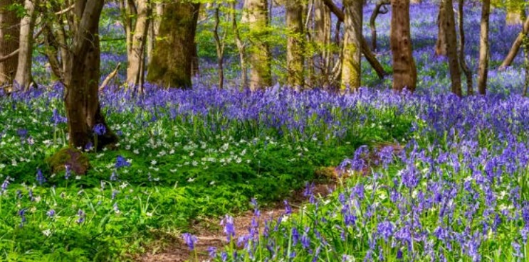 Travelling Well Together-crop